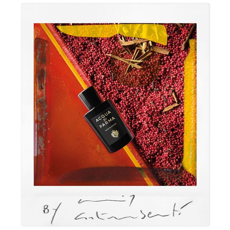 Signatures of the Sun Oud & Spice - Apă de parfum Woody Spicy