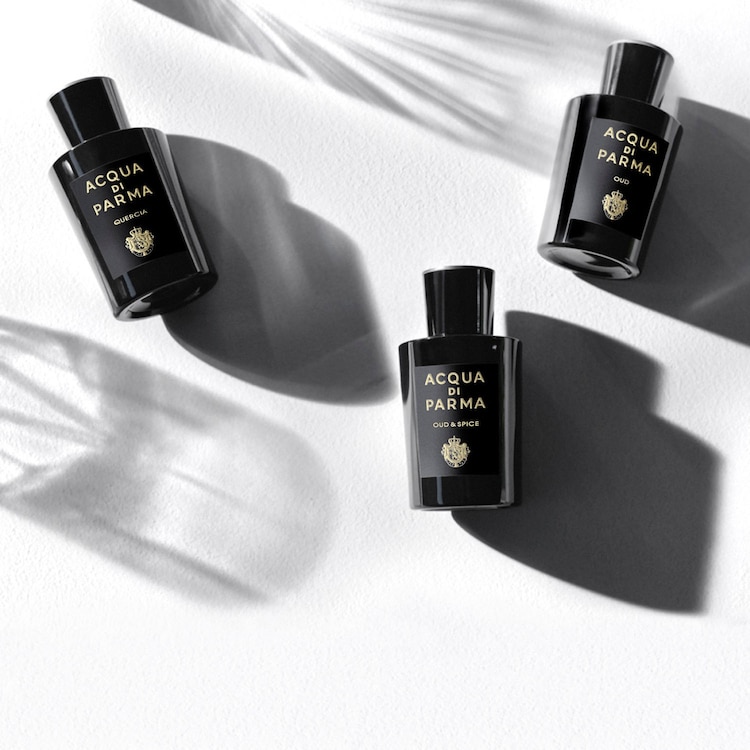 Signatures of the Sun Oud & Spice - Apă de parfum Woody Spicy