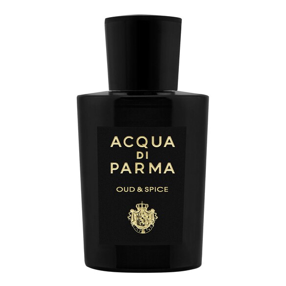 Acqua di Parma Oud & Spice Eau de Parfum da uomo 100 ml - Immagine 4