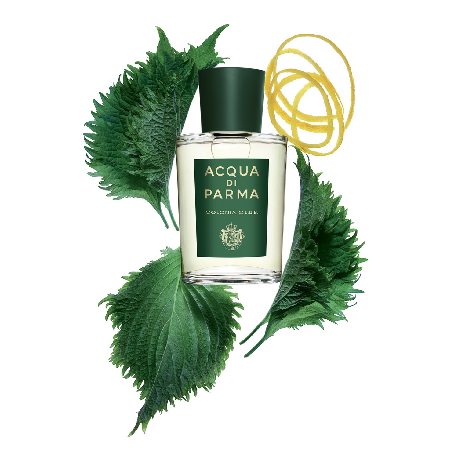 Colonia C.L.U.B. - Eau de Cologne | Acqua di Parma ≡ SEPHORA