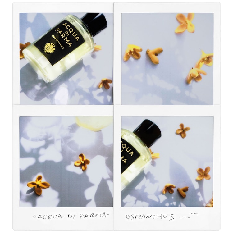 Signatures of the Sun Osmanthus - Eau de Parfum Floral Fruity