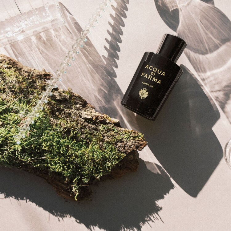 Signatures of the Sun Quercia - Eau de Parfum Woody Aromatic