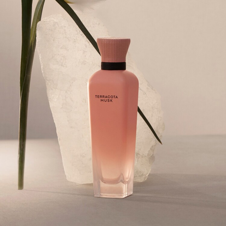 Terracota Musk - Eau de Parfum