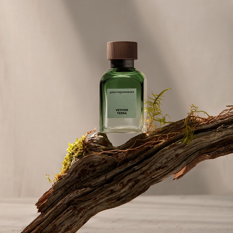 Vetiver Terra - Eau de Parfum