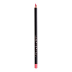 Lip Liner - Tužka na rty, ANASTASIA BEVERLY HILLS