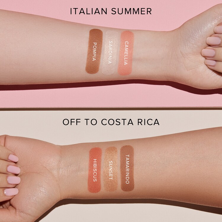 Face palette - Palette teint