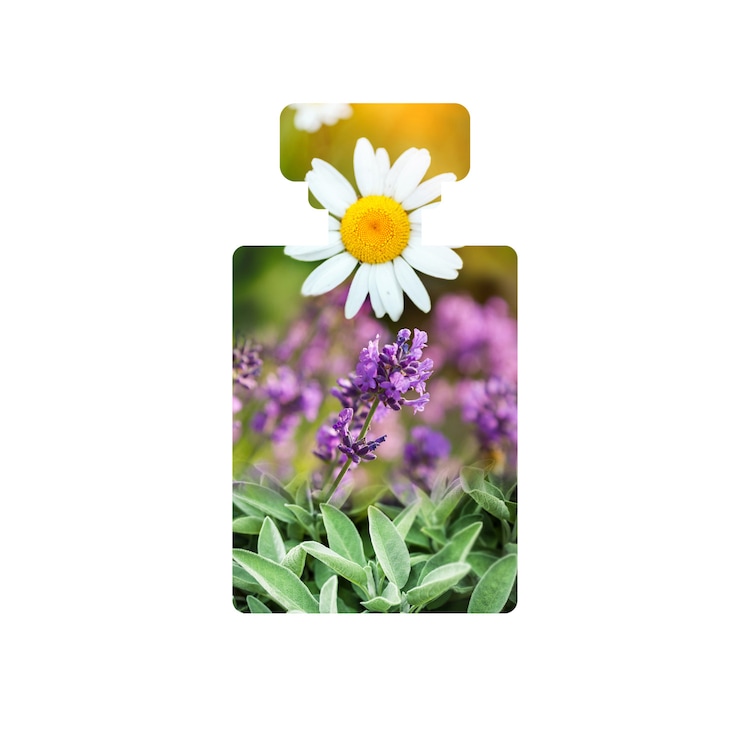 Organic Resurrect - Facial Toner