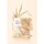 Rice 70 Glow Collagen Mask - Masca hidrogel cu colagen pentru hidratare suprema