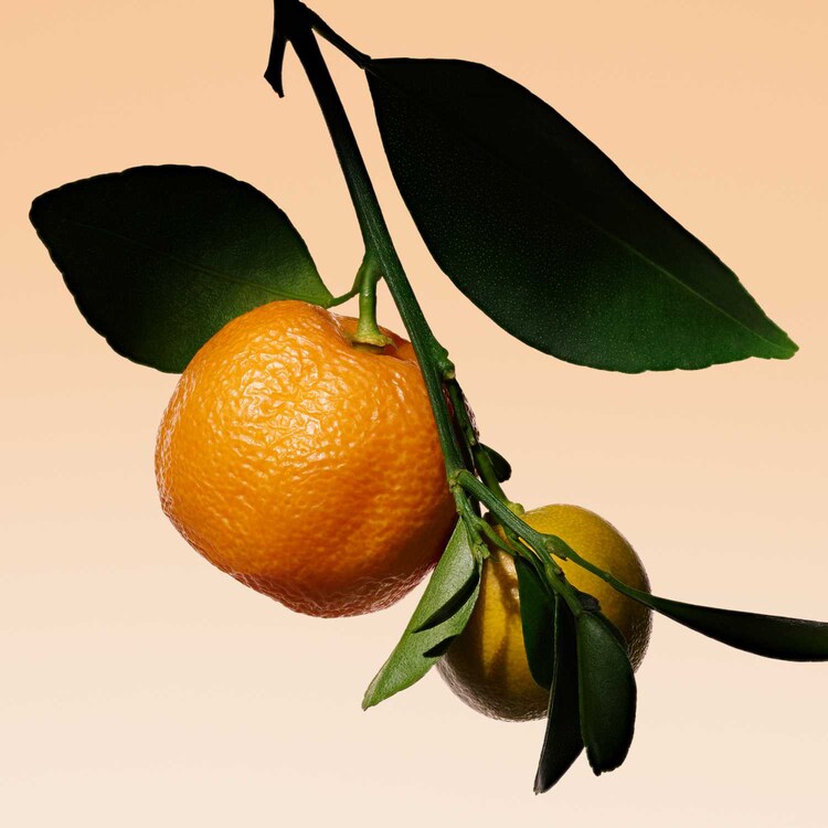 Armani Privé Orange Méditerranée - Eau de toilette