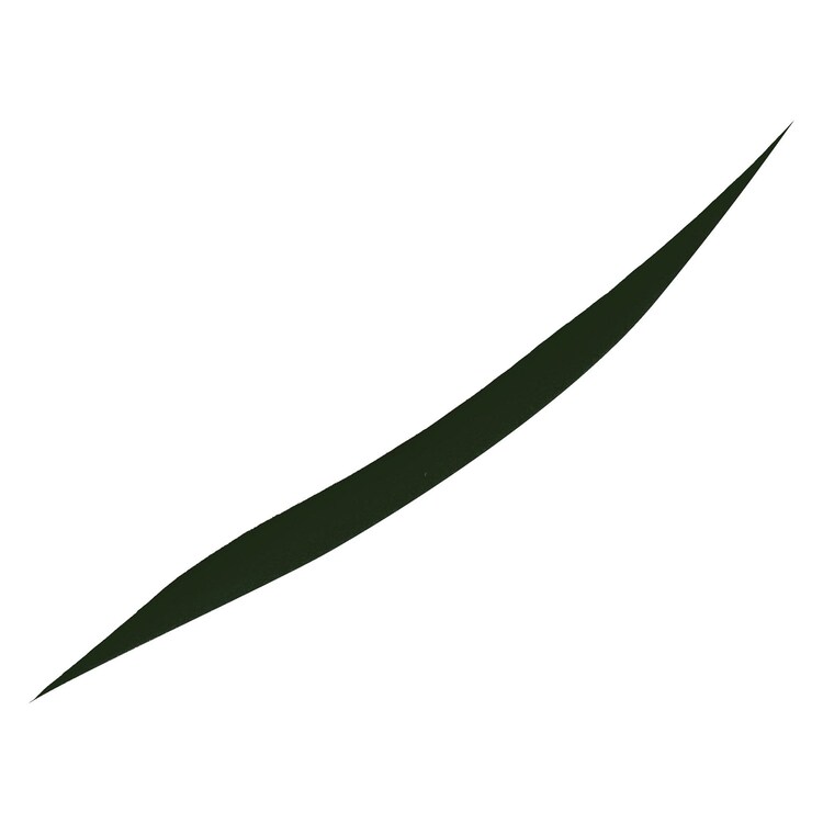 EYES TO KILL DESIGNER EYELINER