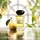 Privé Orangerie Venise - Eau de Toilette