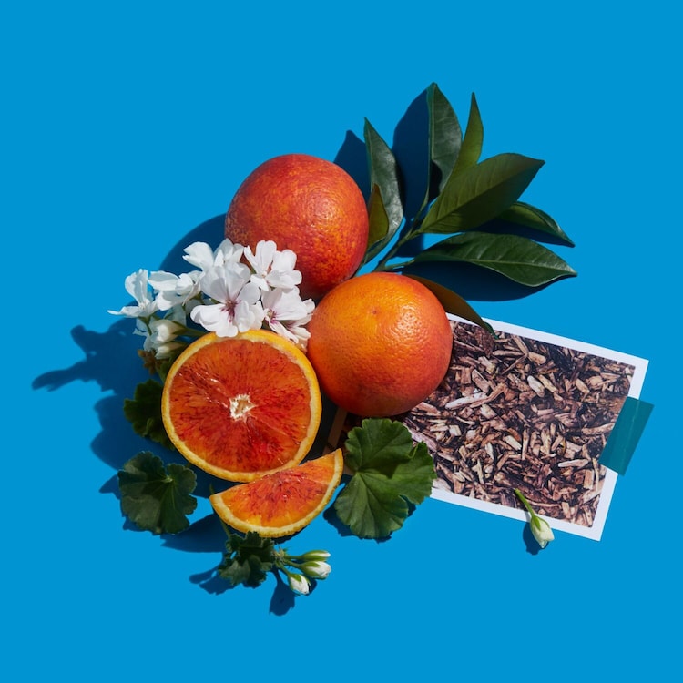 Orange Sanguine - Woda Perfumowana