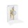 Atkinsons Scilly Neroli Edp 100 ML