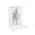 The Big Bad Cesar - Eau de Parfum