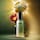 Effortless Shine Duo - Set Aveda pentru Stralucirea Parului