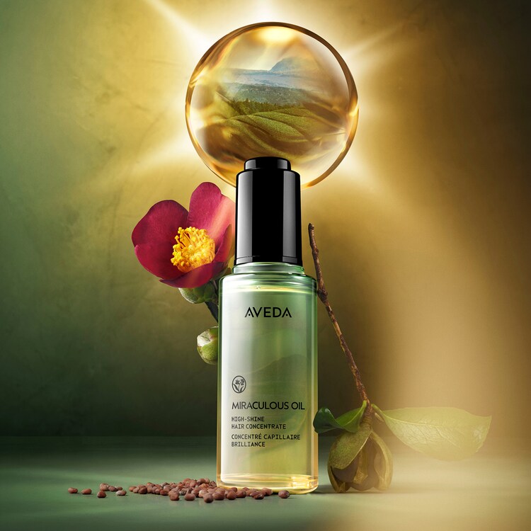 Effortless Shine Duo - Set Aveda pentru Stralucirea Parului