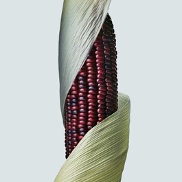 Botanical Repair&trade; intenzivna maska za jačanje - Maska