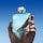 Chrome - Eau de Toilette