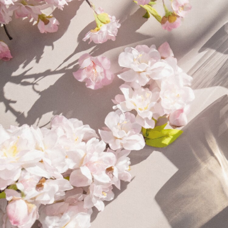 Signature Sakura - Parfémová voda
