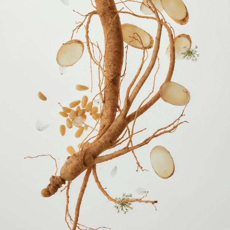 Revive Eye Serum: Ginseng + Retinal - Rivitalizza il contorno occhi