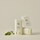Matte Sun Stick: Mugwort + Camelia - Ikke-fedtet solbeskyttelse