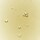Ginseng Cleansing Oil - Struccante delicato con estratto di ginseng