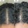 Scalp Revival Micro-Exfoliating - Sampon exfoliant
