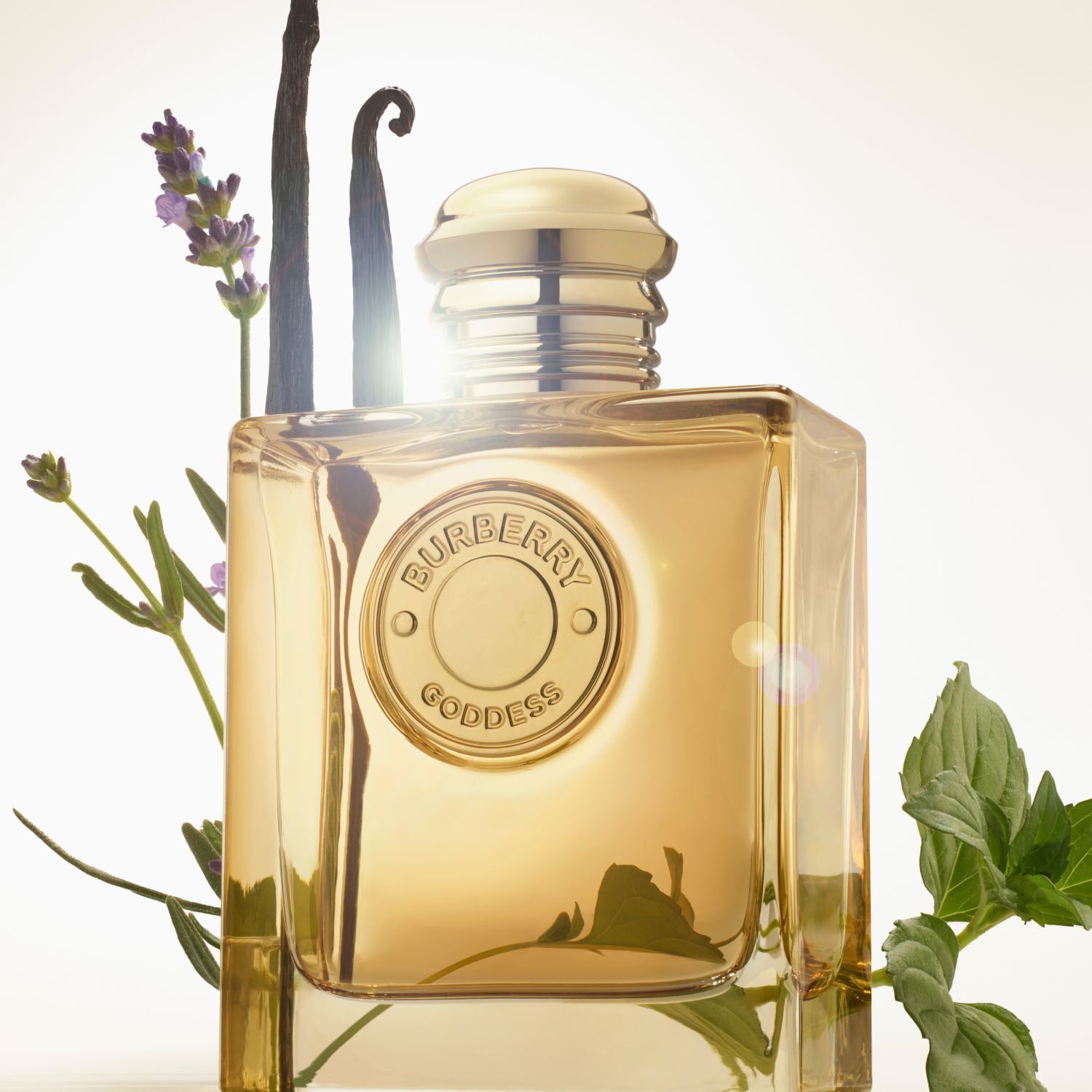 Goddess - Eau de Parfum Intense | BURBERRY ≡ SEPHORA