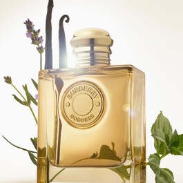 Goddess - Eau de Parfum Intense