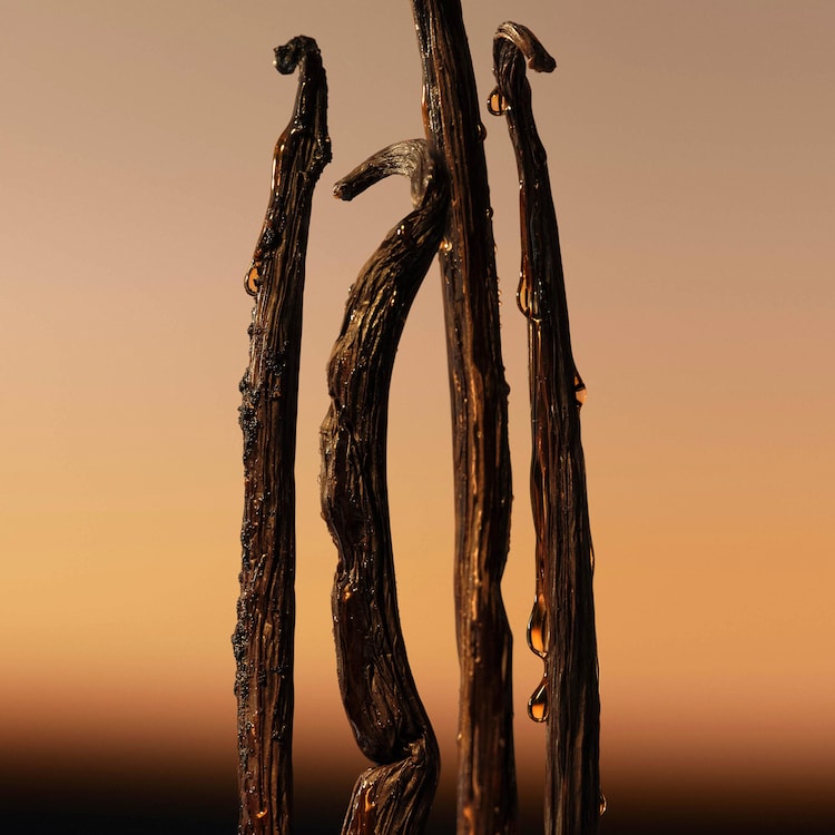 Goddess Amber Vanila - Intensywna Woda Perfumowana