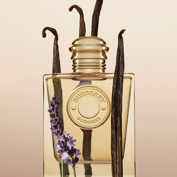 Burberry Goddess Body Lotion Donna 