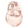 Omnia Crystalline EdP