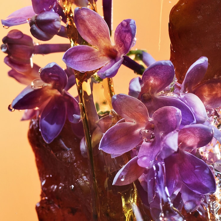 Allegra Rock'N'Rome - Eau de Parfum