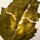 Allegra Magnifying Patchouli - Woda perfumowana