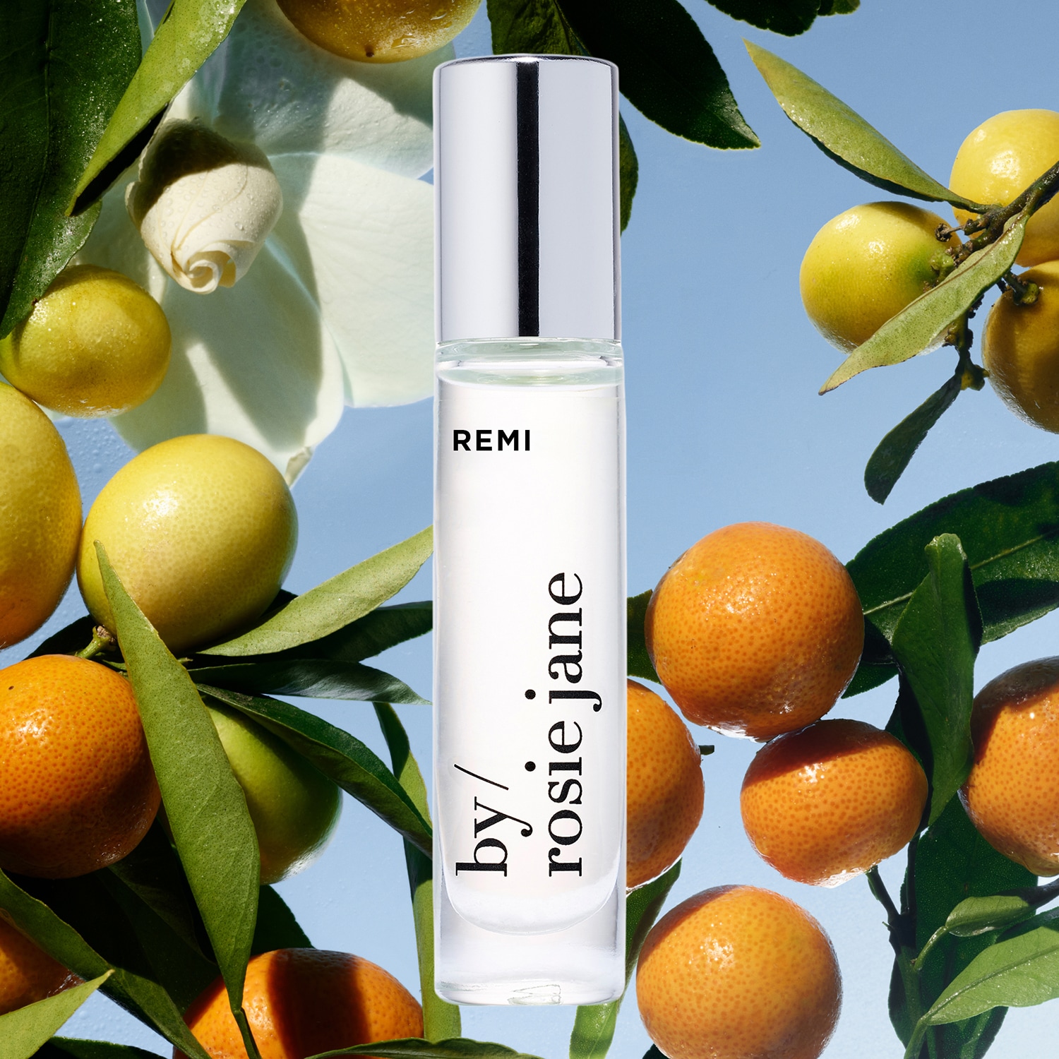 Remi Fragrance Oil