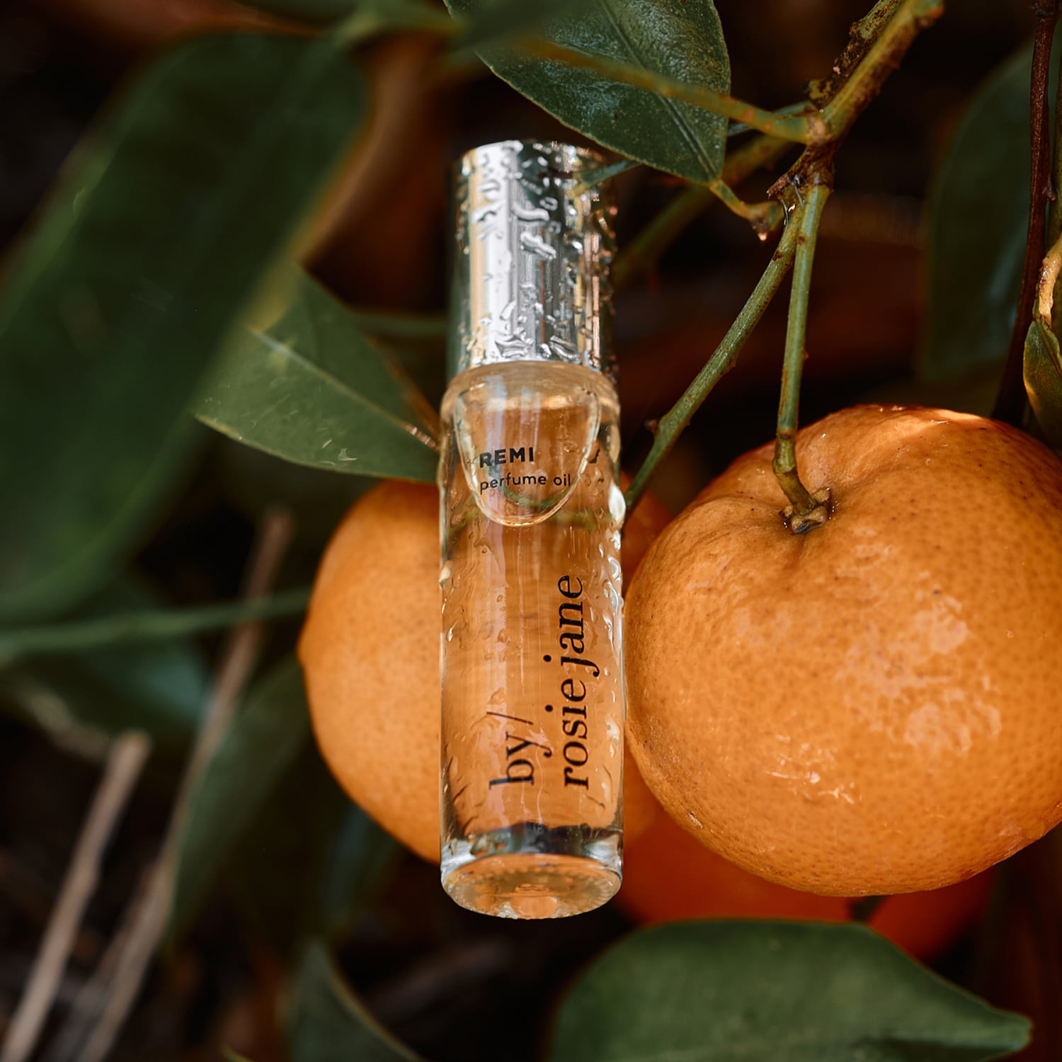 Remi Fragrance Oil