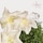  Calvin Klein Cotton Musk Hair & Body Perfume Mist