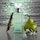 Eternity For Women Reflections - Woda perfumowana