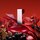 My Euphoria - Eau de Parfum