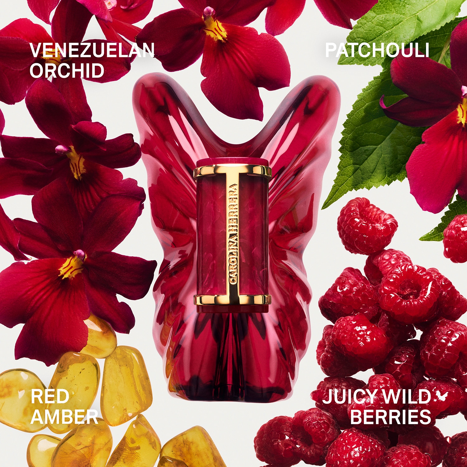 La Bomba Intensa - Eau de Parfum