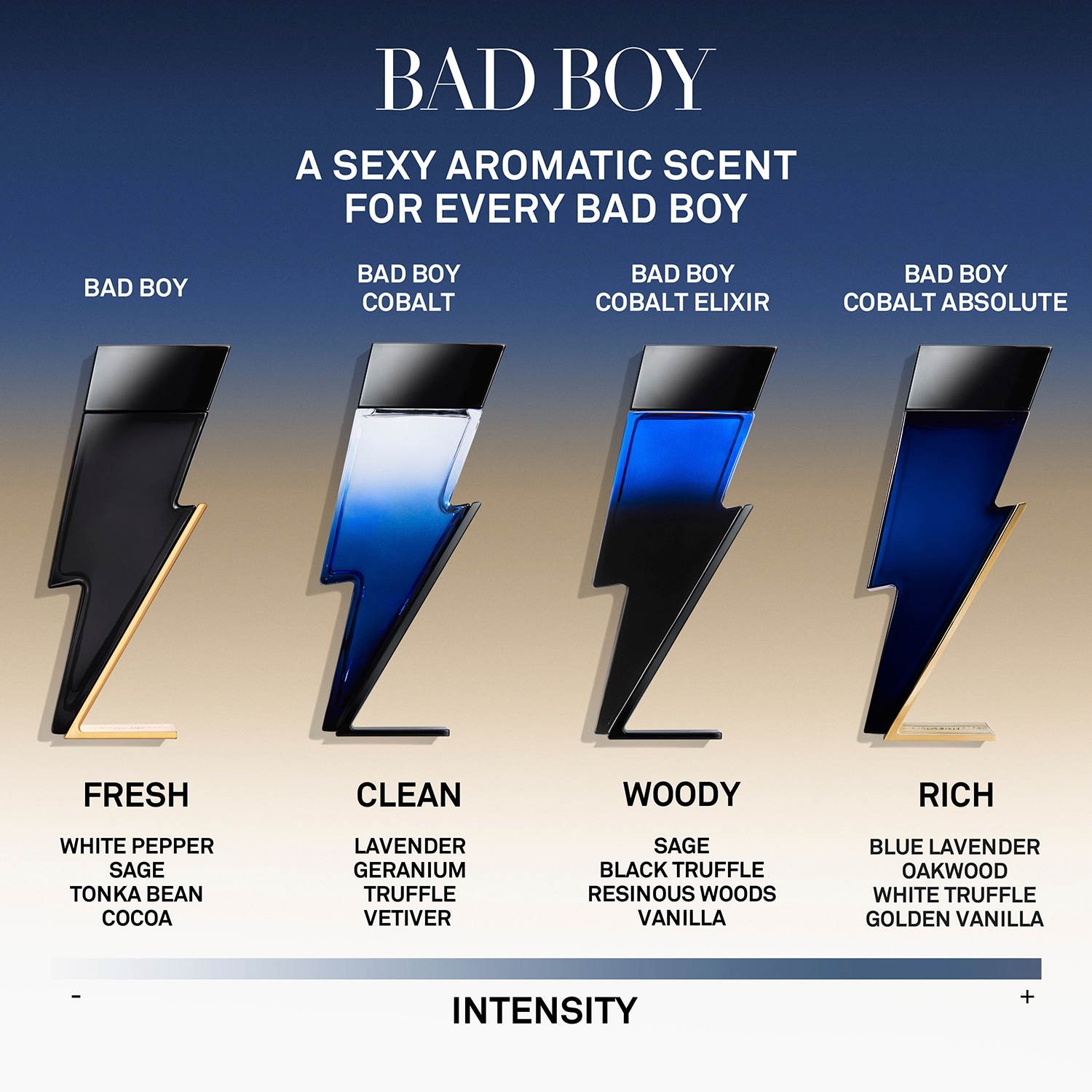 Bad Boy - Eau de Toilette Gift Set