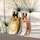 Chloé Nomade Jardin d'Égypte - Eau de Parfum
