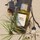 Atelier des Fleurs Sous les Pins - Eau de Parfum