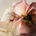 Atelier des Fleurs Rosa Damascena - Eau de Parfum