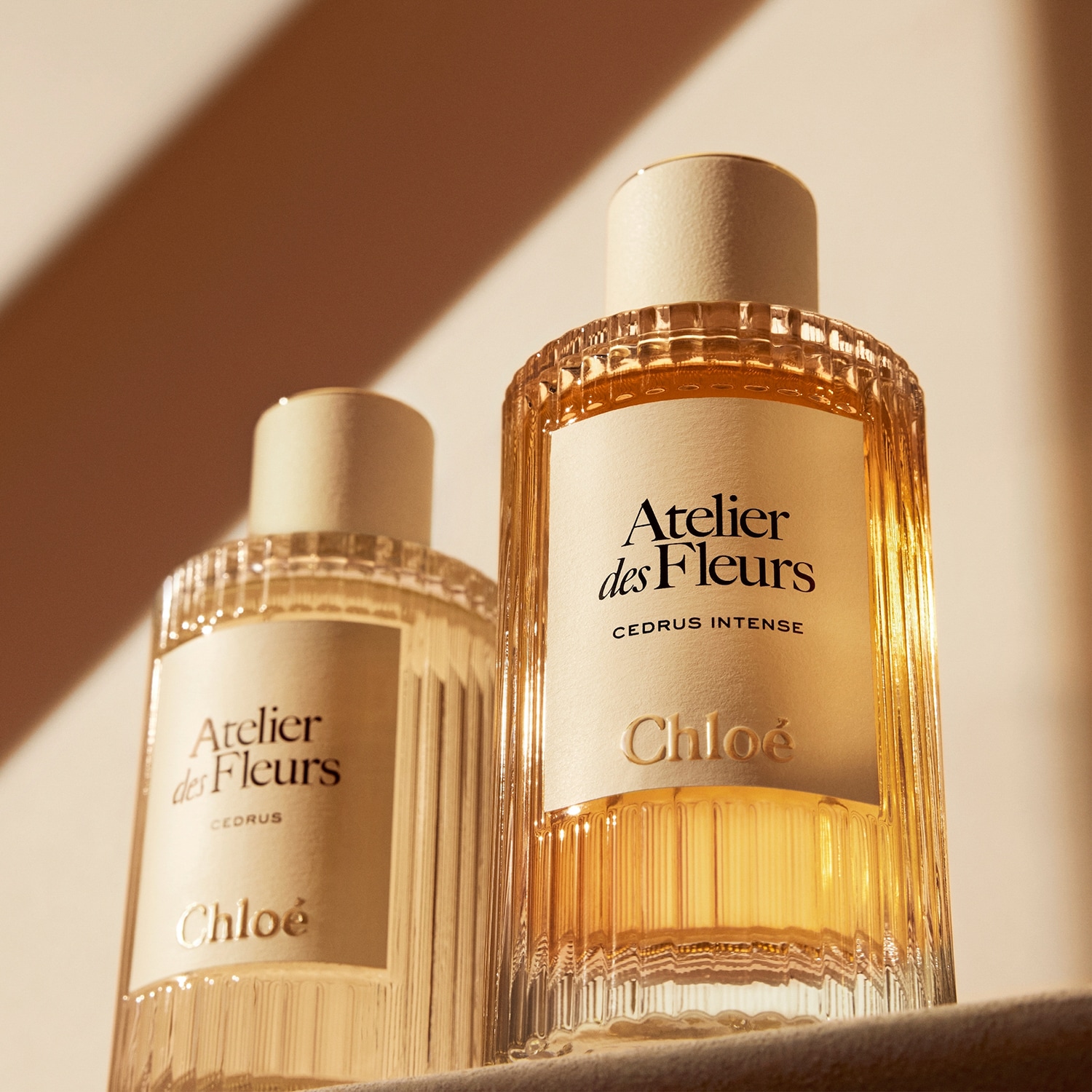 Atelier des Fleurs Cedrus Intense - Eau de Parfum | CHLOÉ ≡ SEPHORA