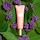 Primer SOS Pink - Prebase de maquillaje