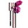 Wonder perfect mascara 4d - Máscara de pestañas
