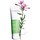 Pure Scrub - Exfoliante de rostro