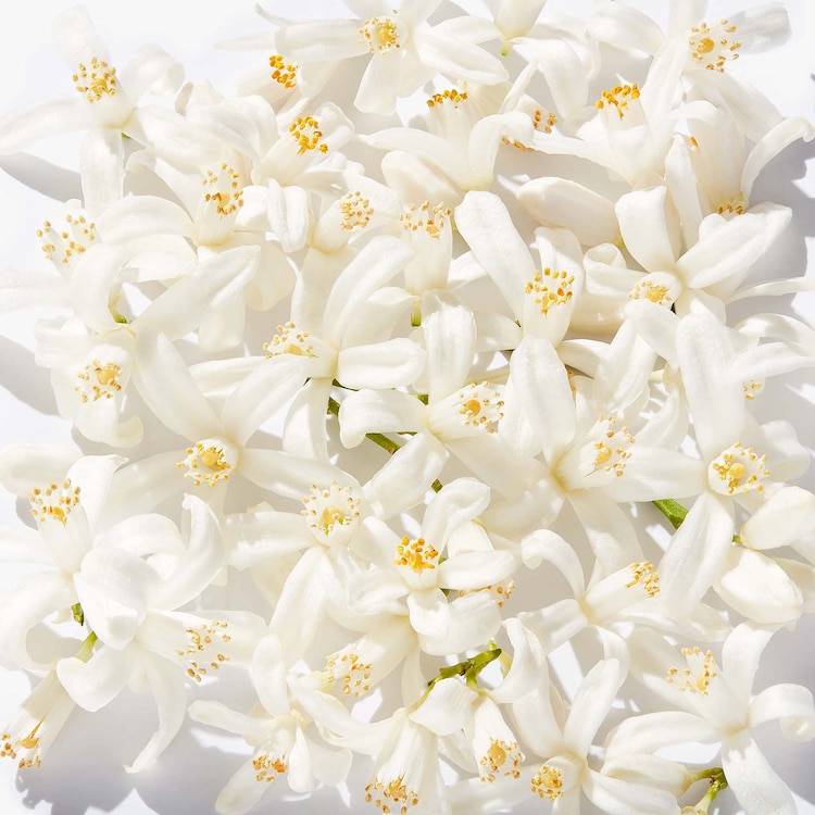 My Happy™ Baby Bouquet - parfum de dama