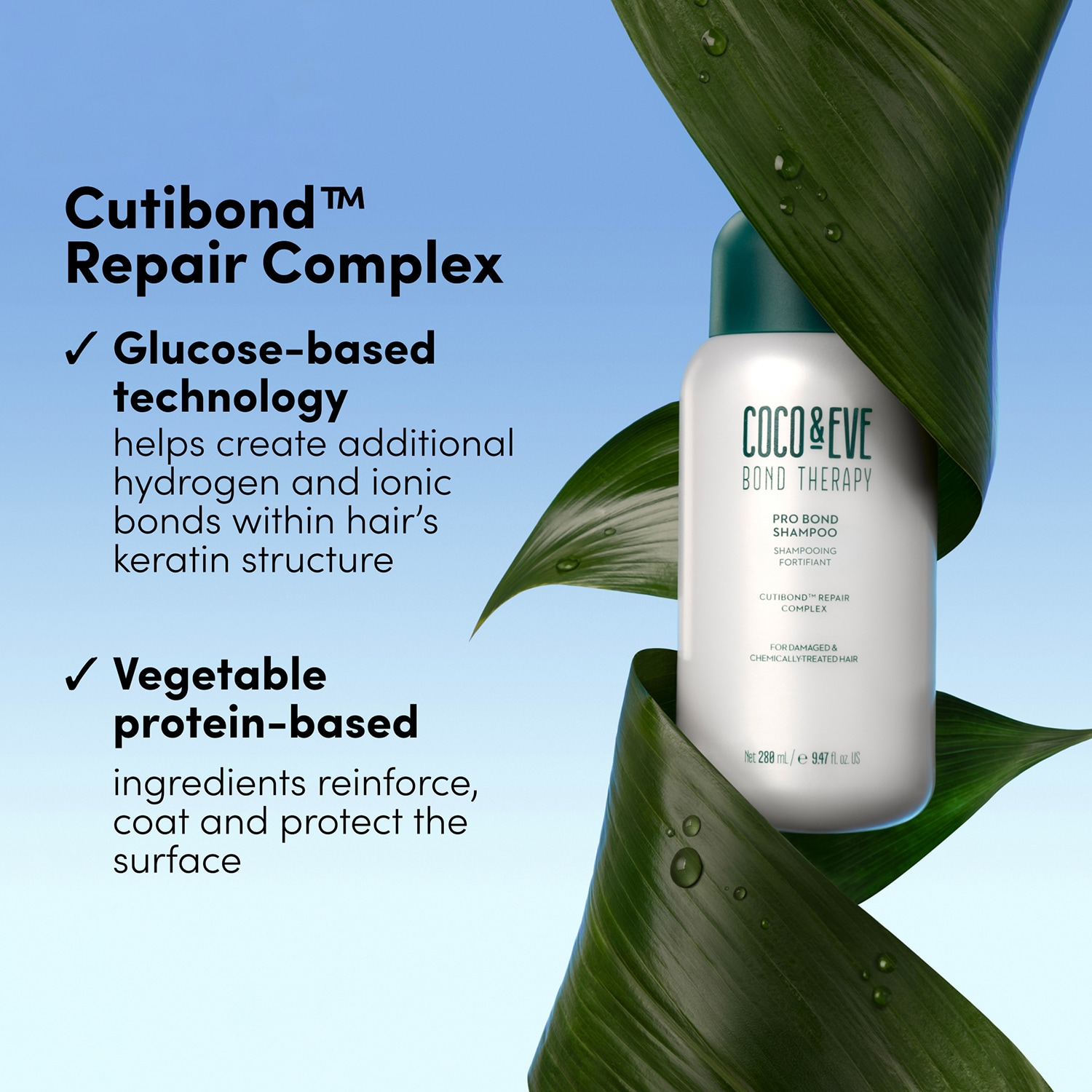 Bond Therapy Pro Bond Shampoo